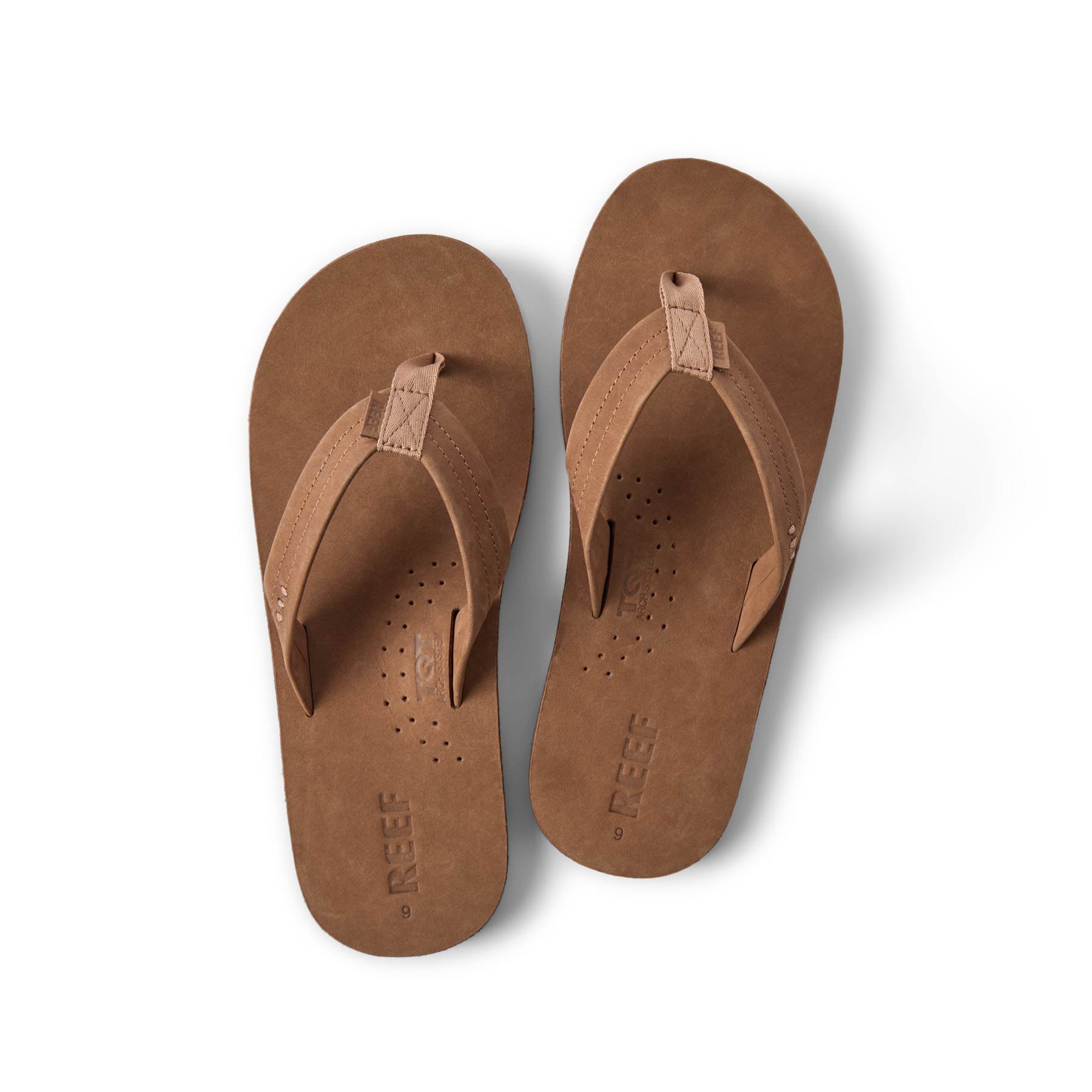 Reef Draftsmen - Image 5