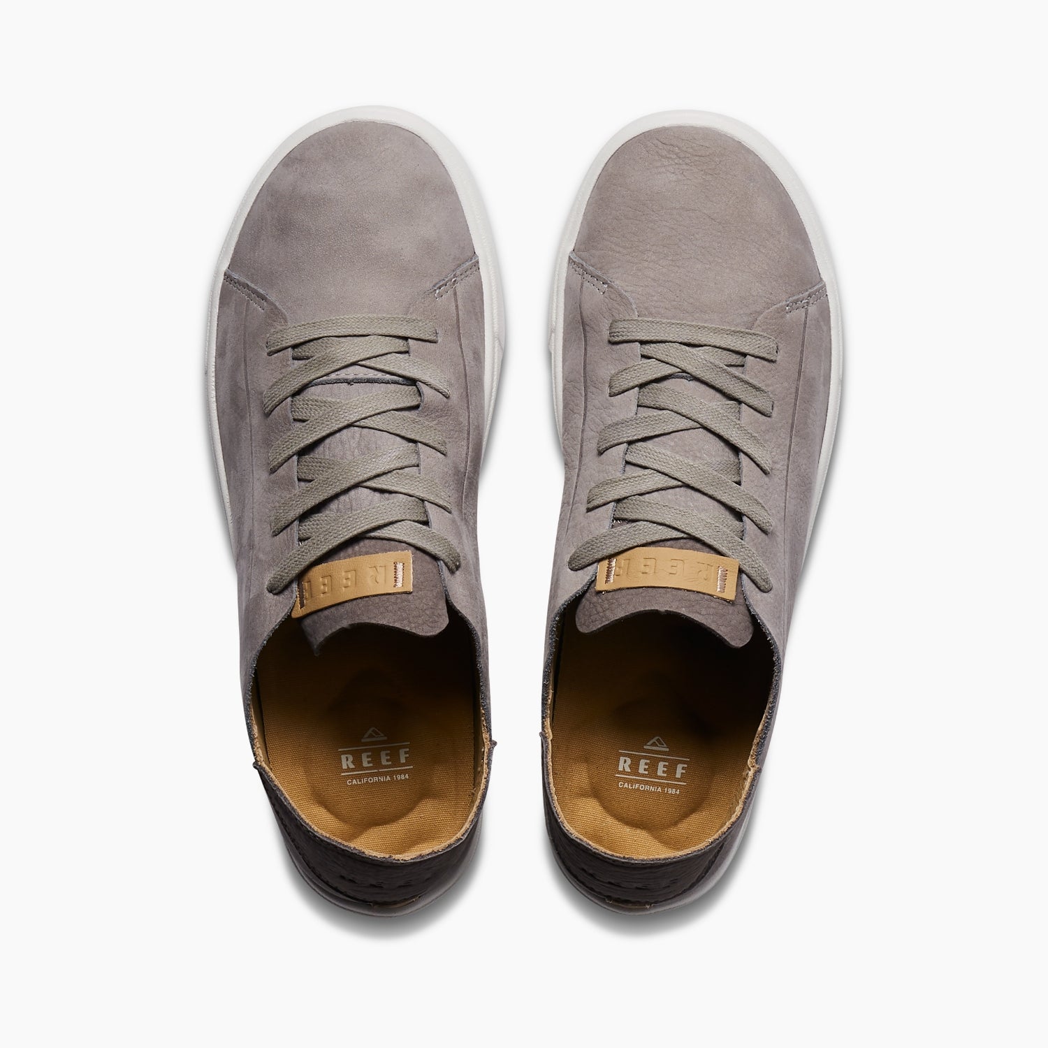 Terramar Leather - Image 3