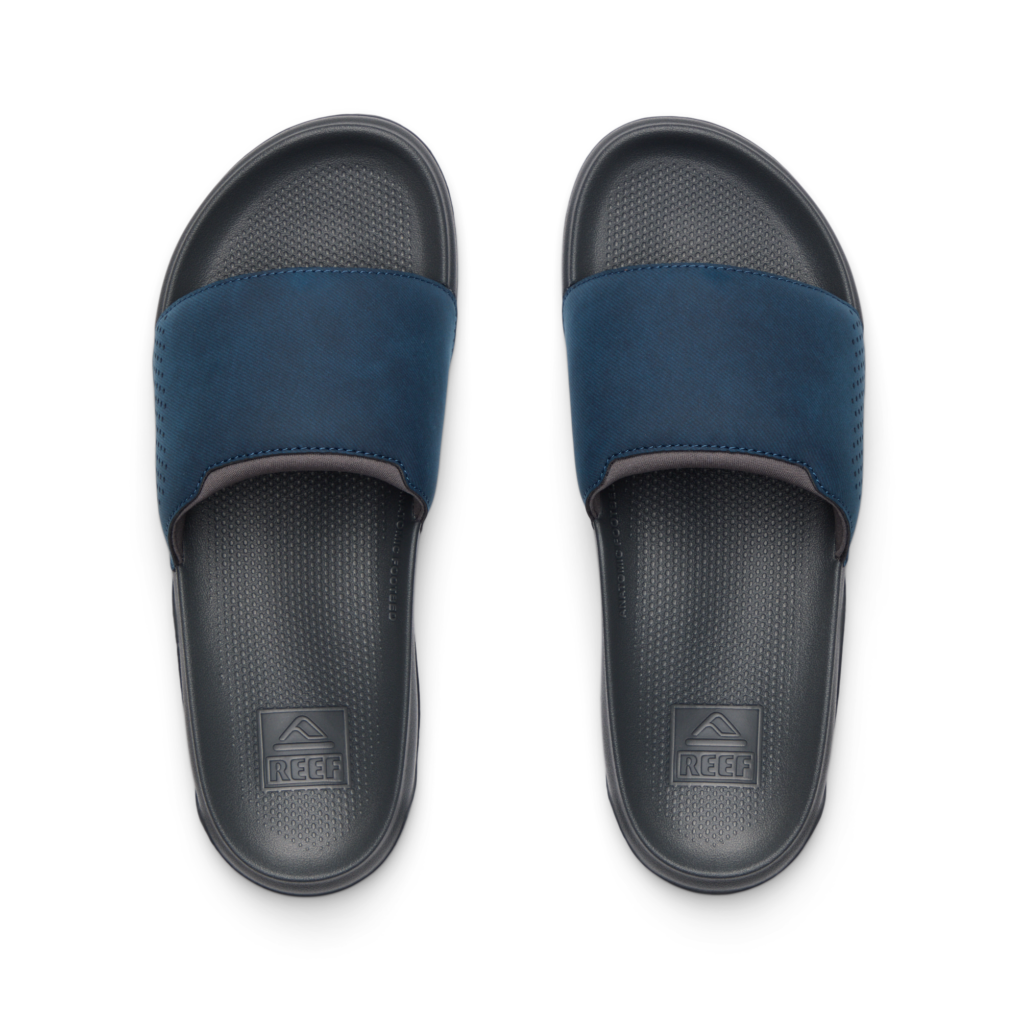 Tailslide - Image 3