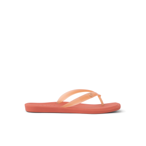 Solaye
