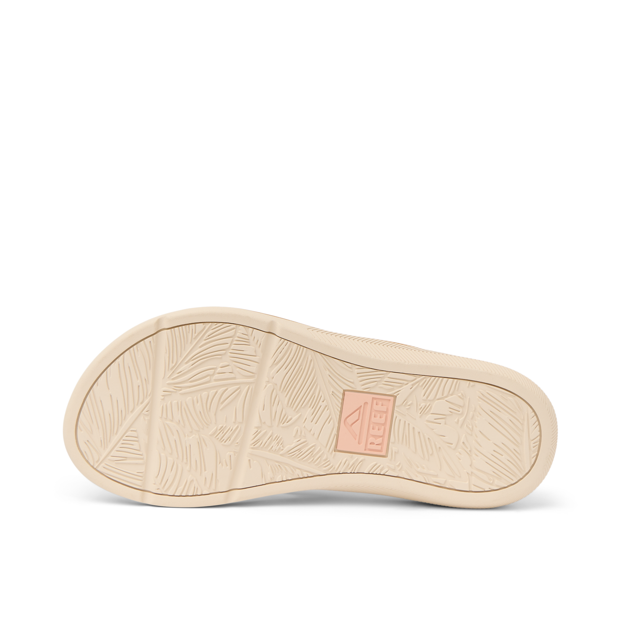 Santa Ana - Image 6