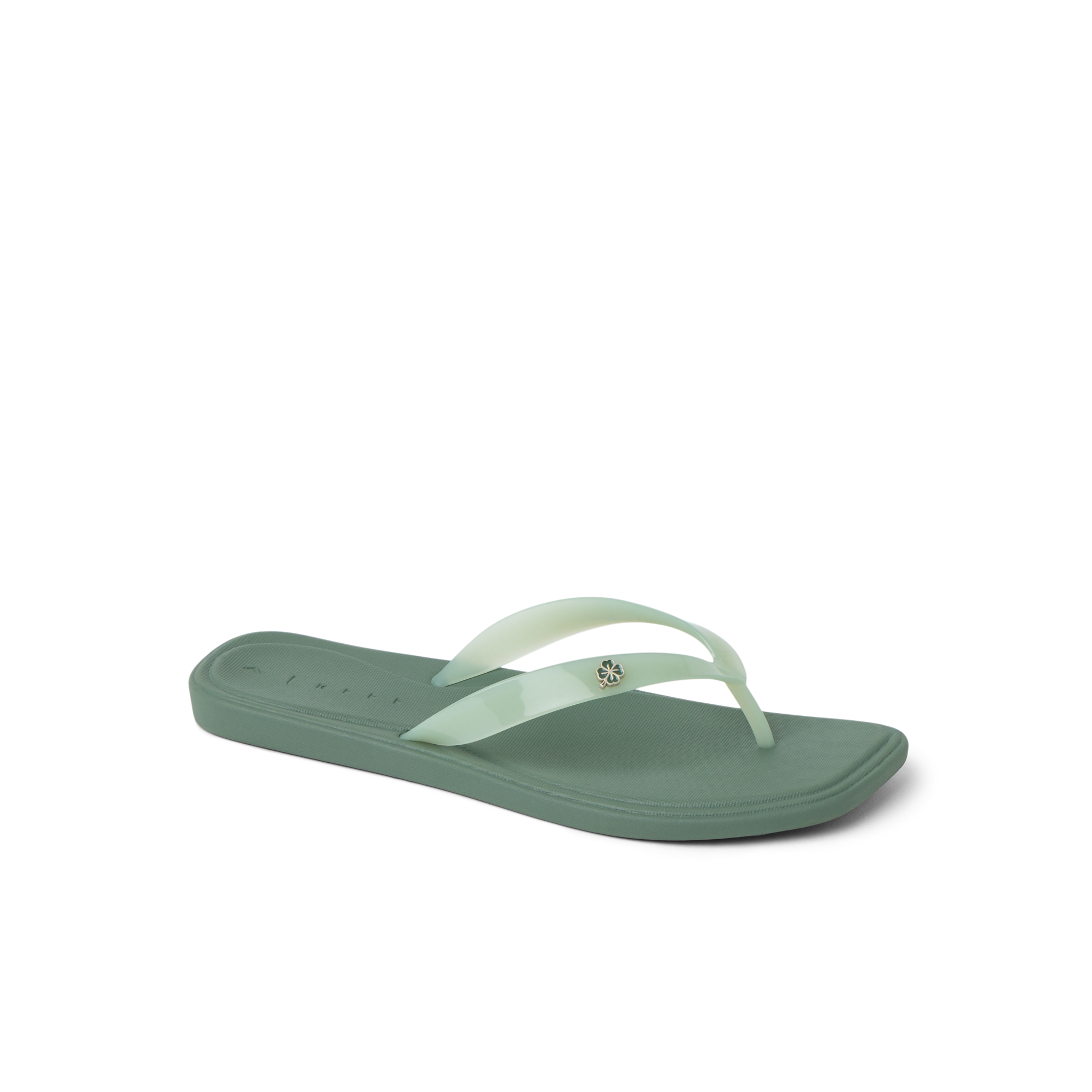 Solaye - Image 4