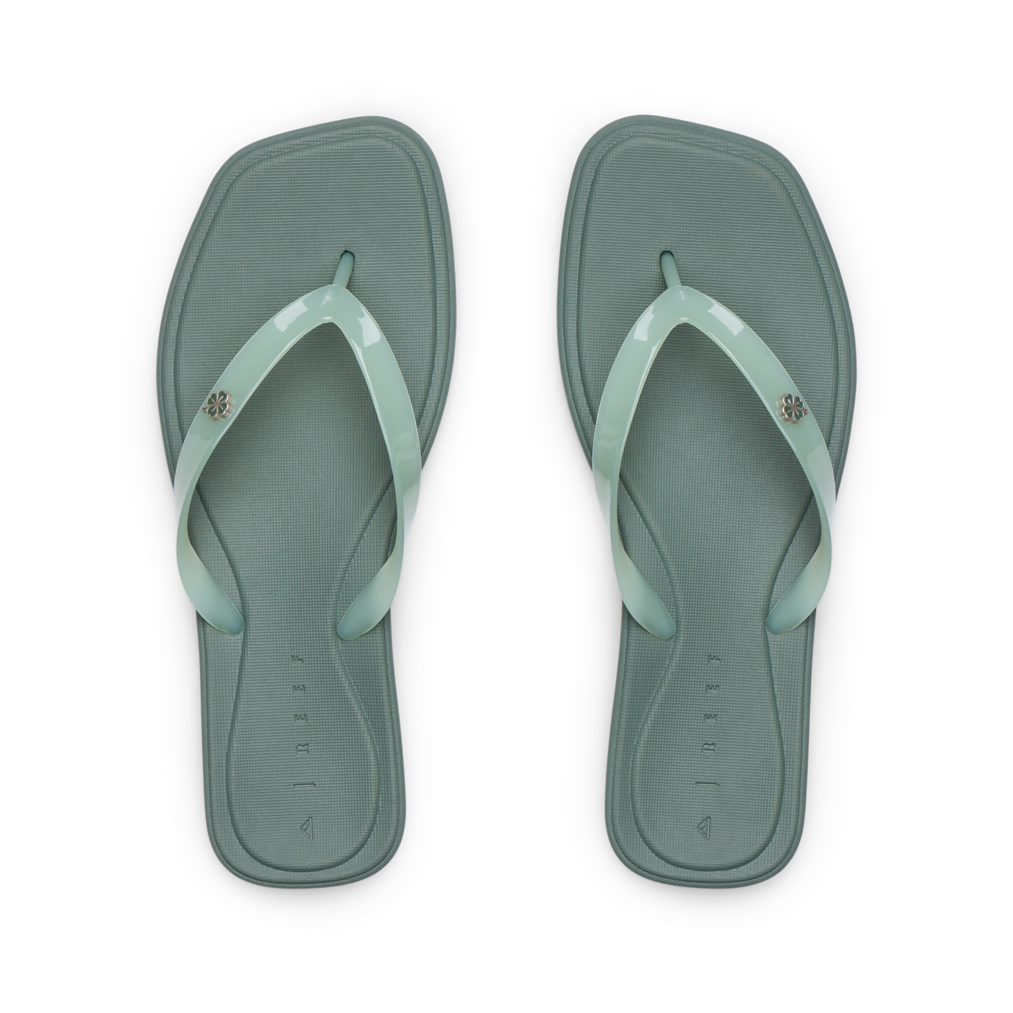 Solaye - Image 6