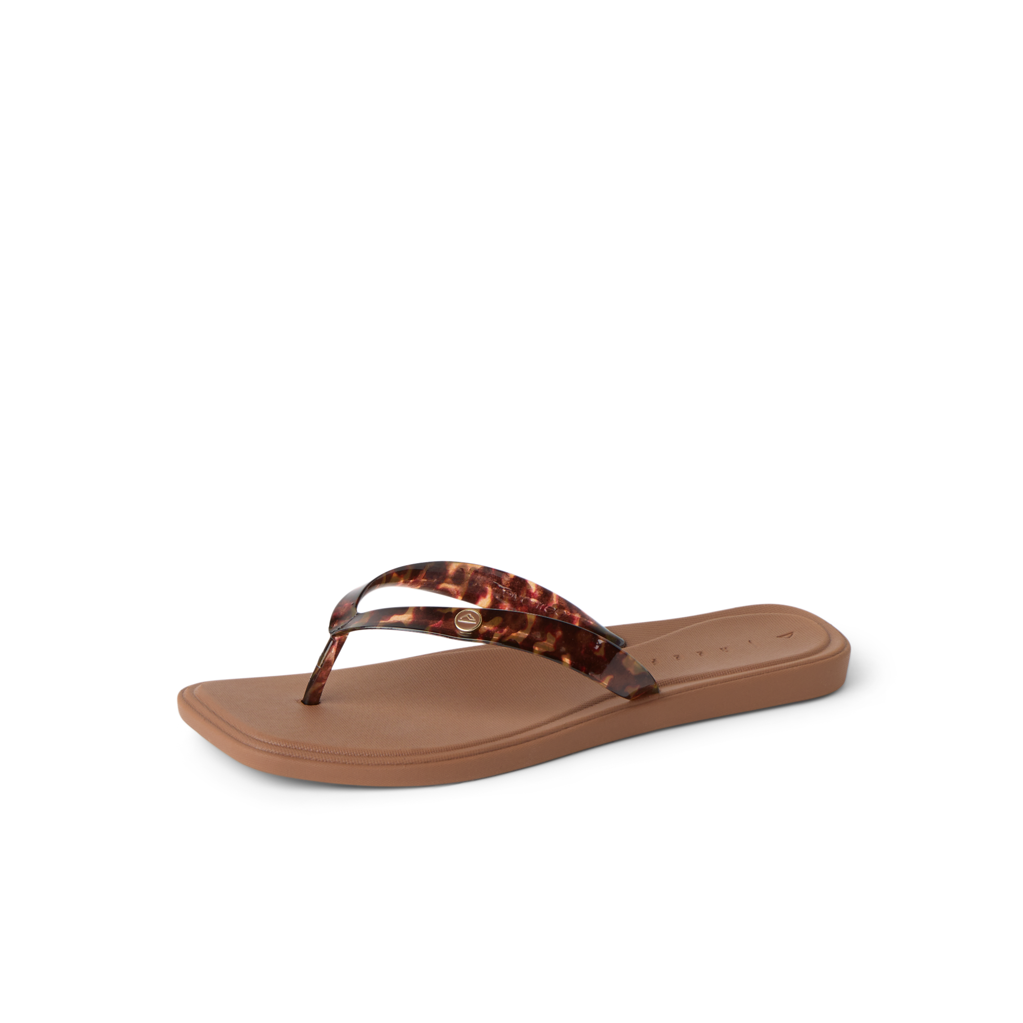 Solaye - Image 7