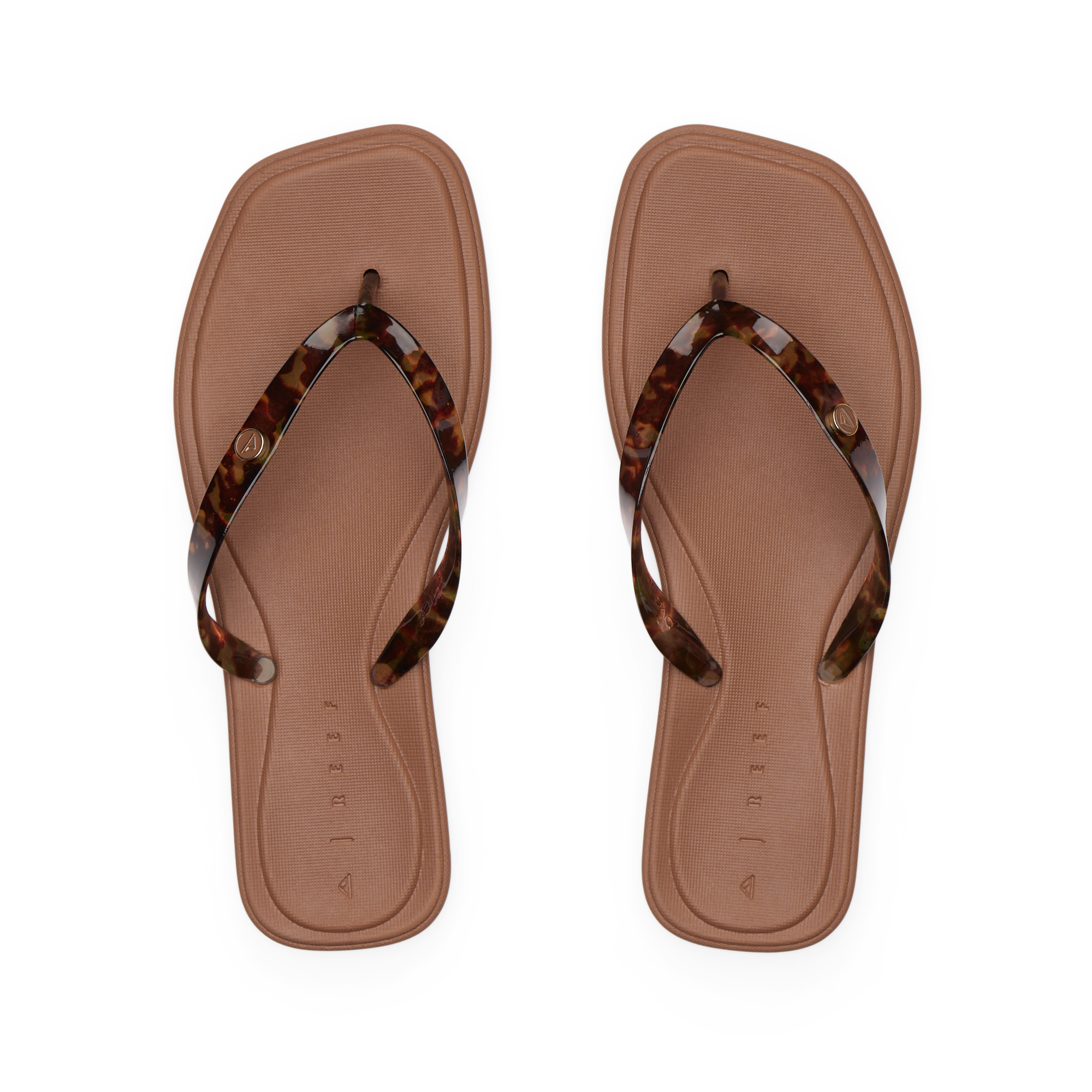 Solaye - Image 5