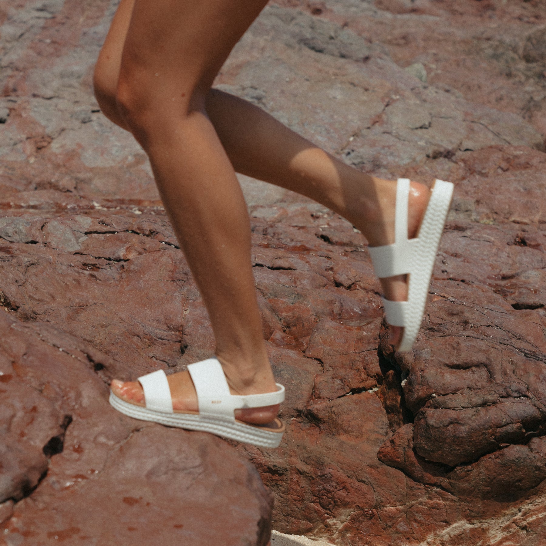 Reef Water Vista - Image 2